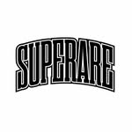 Superare Fight Shop Coupons and Promo Code