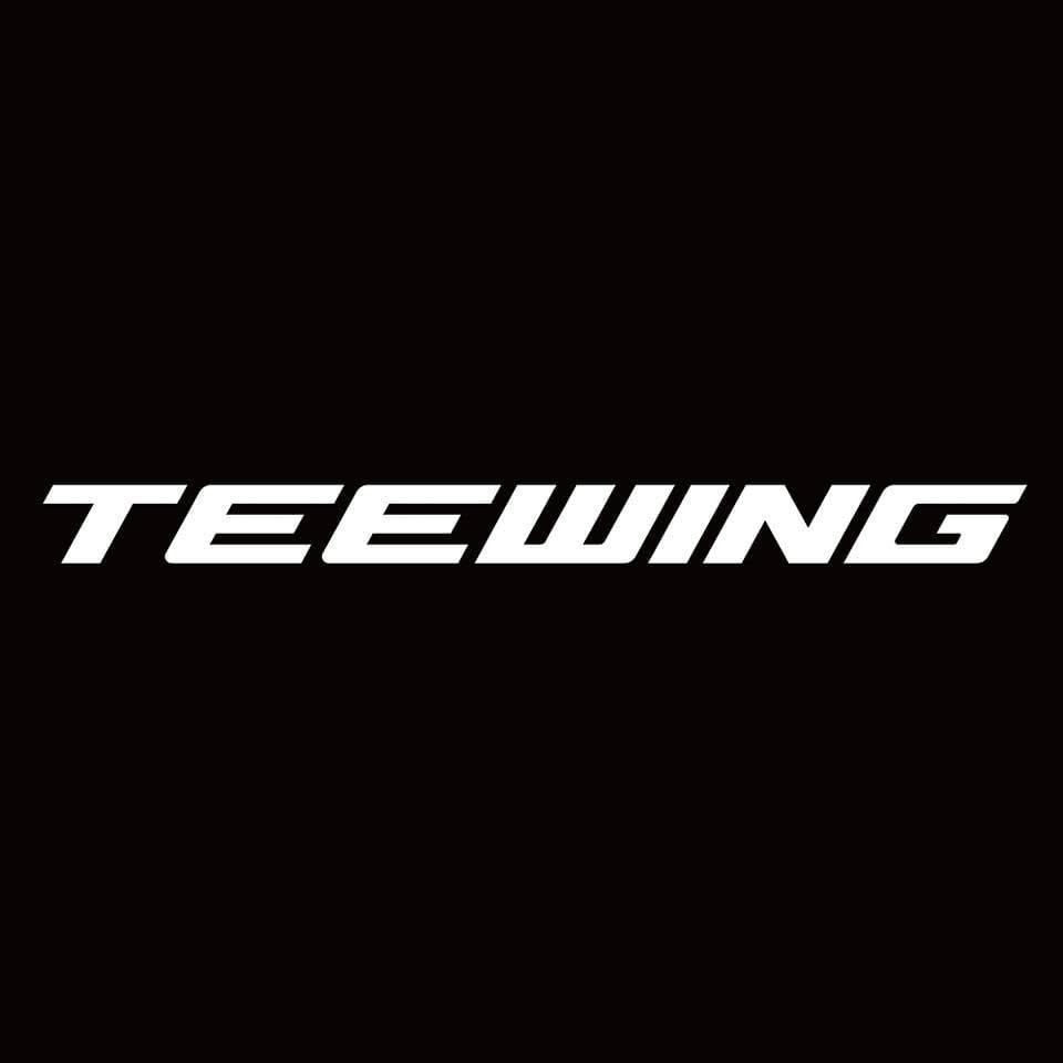 TEEWING Coupons and Promo Code
