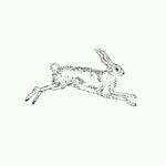 March Hare Coupons and Promo Code