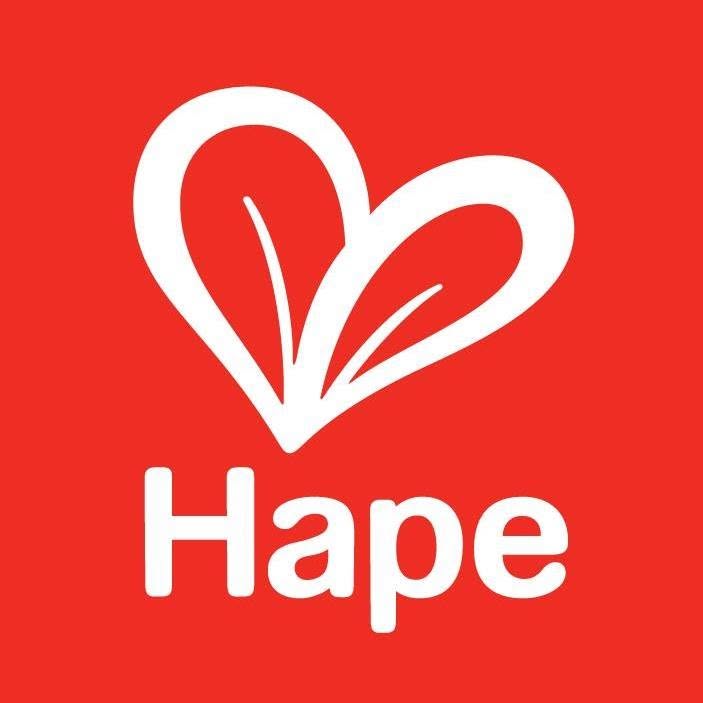 HapeToys Coupons and Promo Code