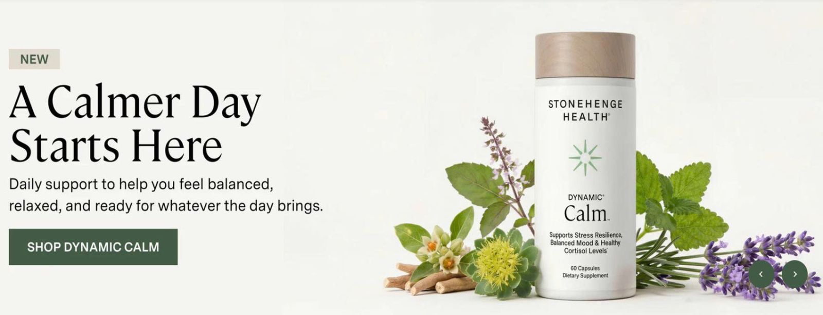 Stonehenge Health